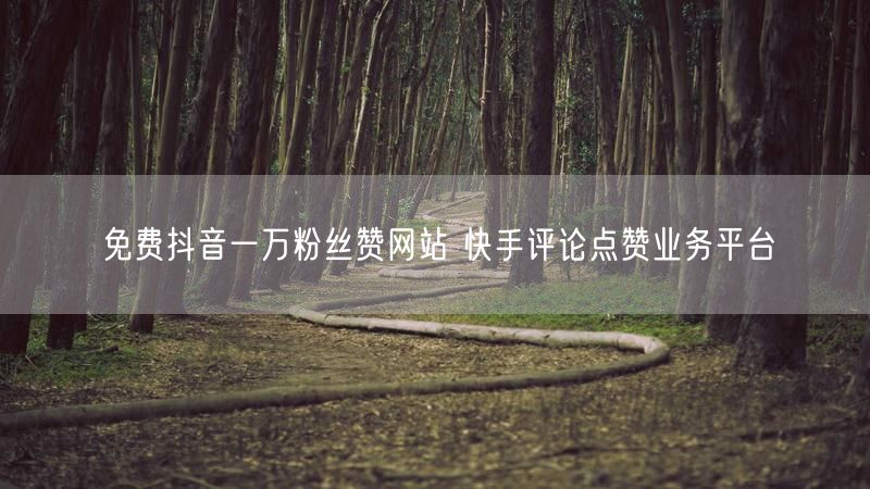 免费抖音一万粉丝赞网站 快手评论点赞业务平台