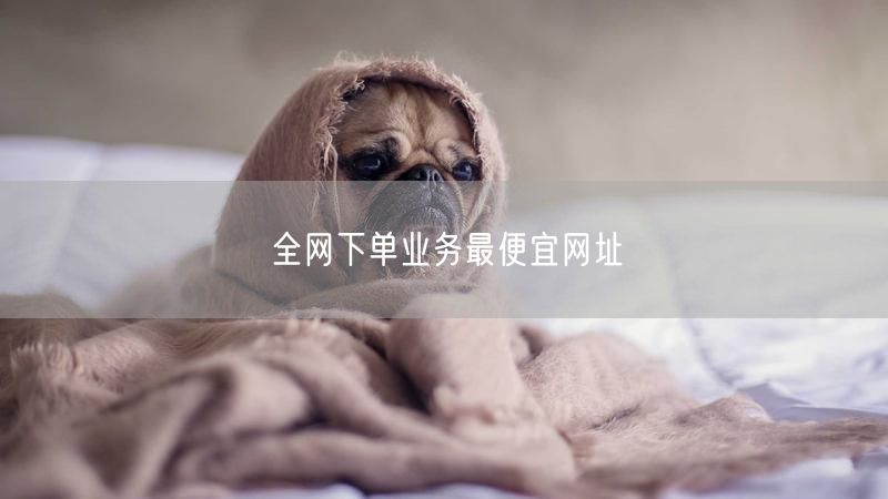 全网下单业务最便宜网址