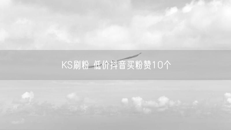 KS刷粉 低价抖音买粉赞10个