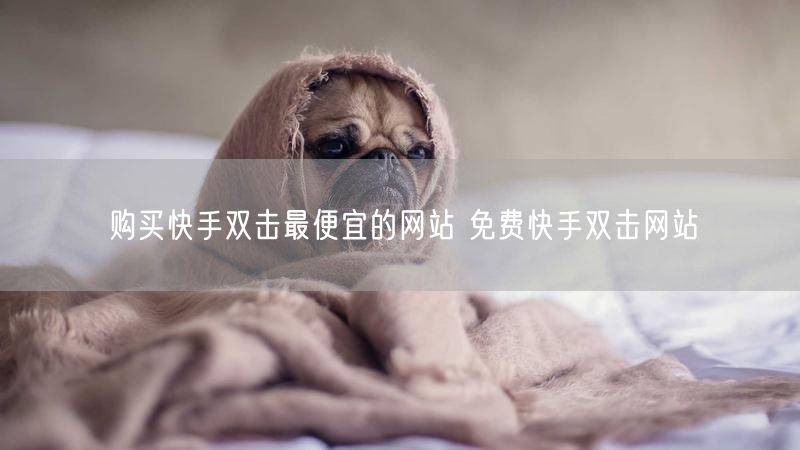 购买快手双击最便宜的网站 免费快手双击网站