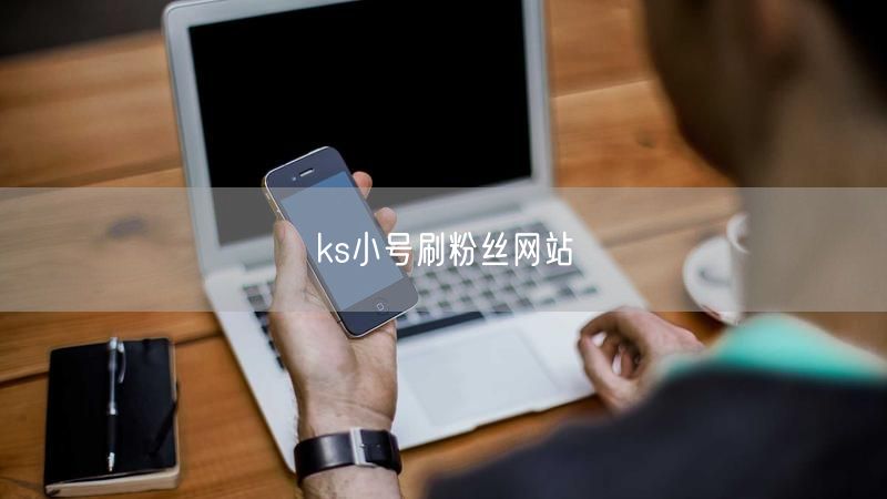 ks小号刷粉丝网站