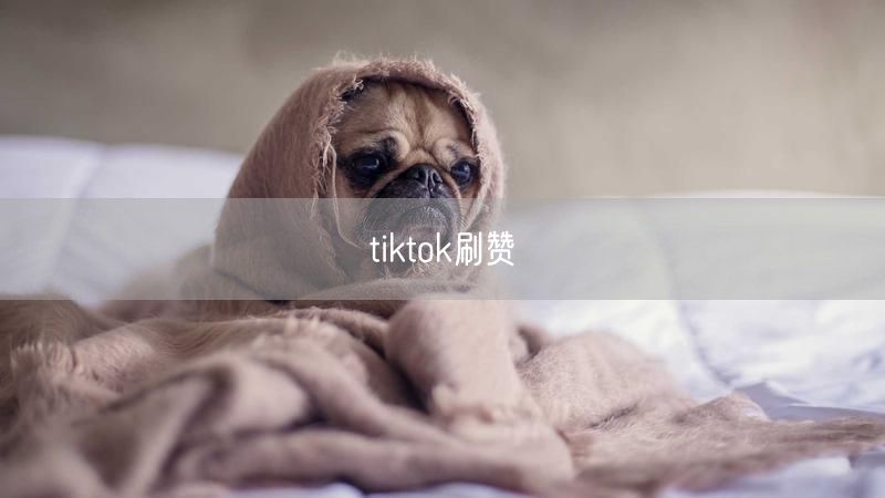 tiktok刷赞