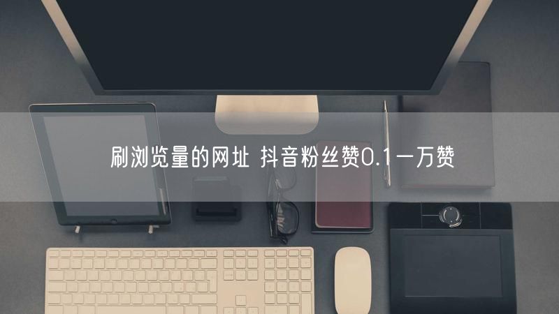 刷浏览量的网址 抖音粉丝赞0.1一万赞
