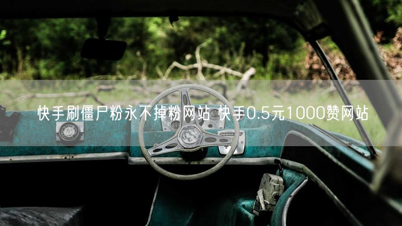 快手刷僵尸粉永不掉粉网站 快手0.5元1000赞网站
