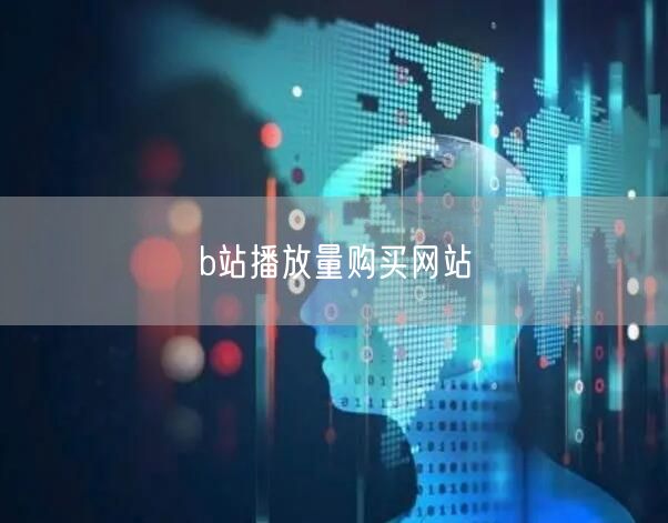 b站播放量购买网站