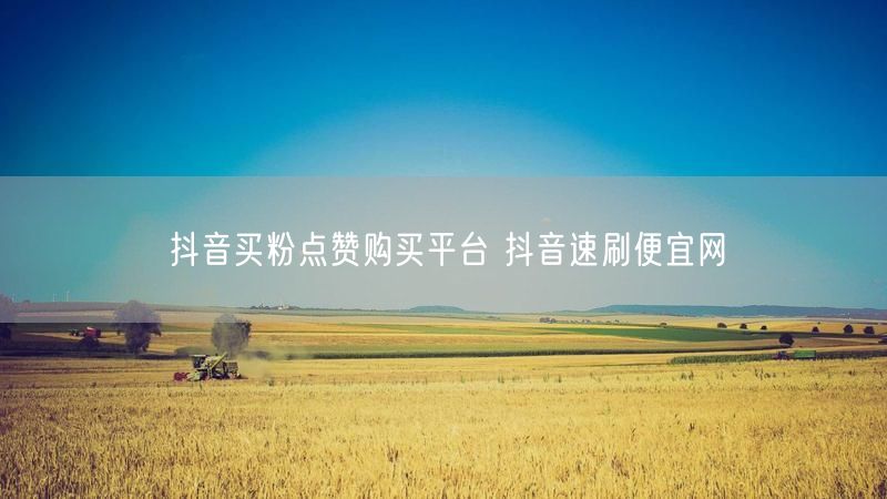 抖音买粉点赞购买平台 抖音速刷便宜网