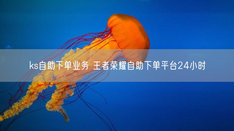 ks自助下单业务 王者荣耀自助下单平台24小时