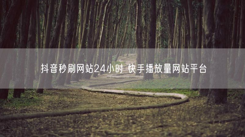抖音秒刷网站24小时 快手播放量网站平台