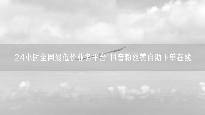 24小时全网最低价业务平台 抖音粉丝赞自助下单在线