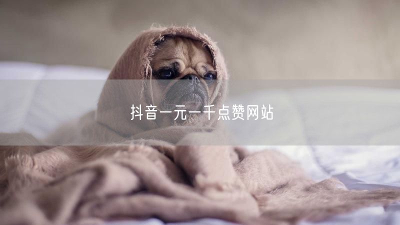 抖音一元一千点赞网站