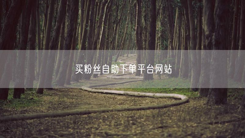 买粉丝自助下单平台网站