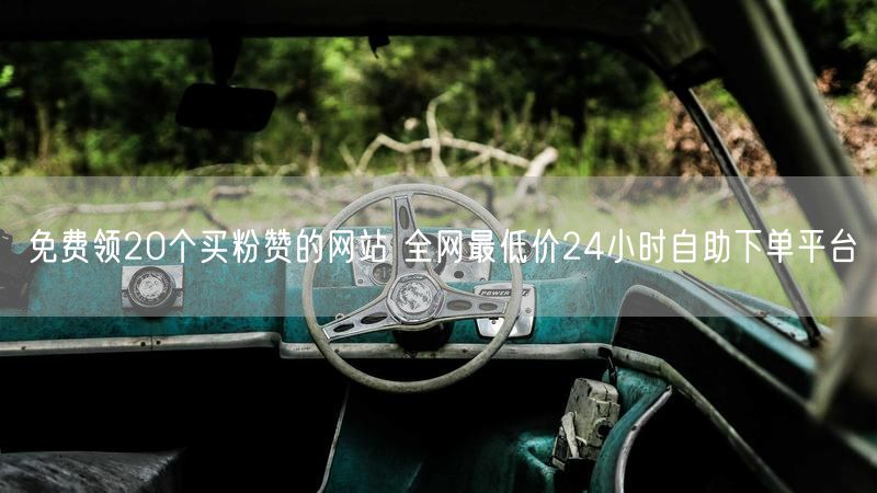 免费领20个买粉赞的网站 全网最低价24小时自助下单平台