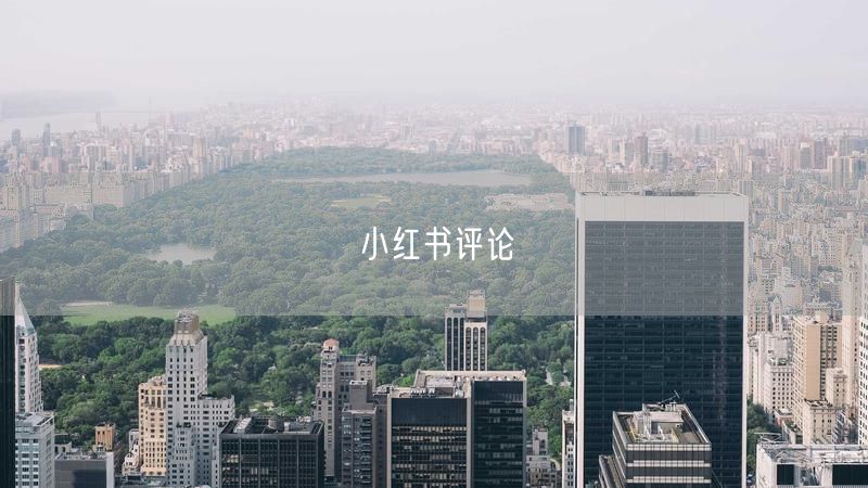 小红书评论