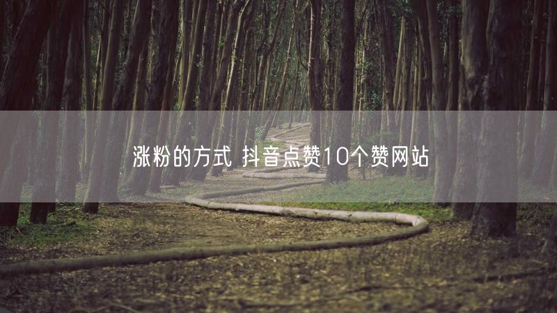 涨粉的方式 抖音点赞10个赞网站