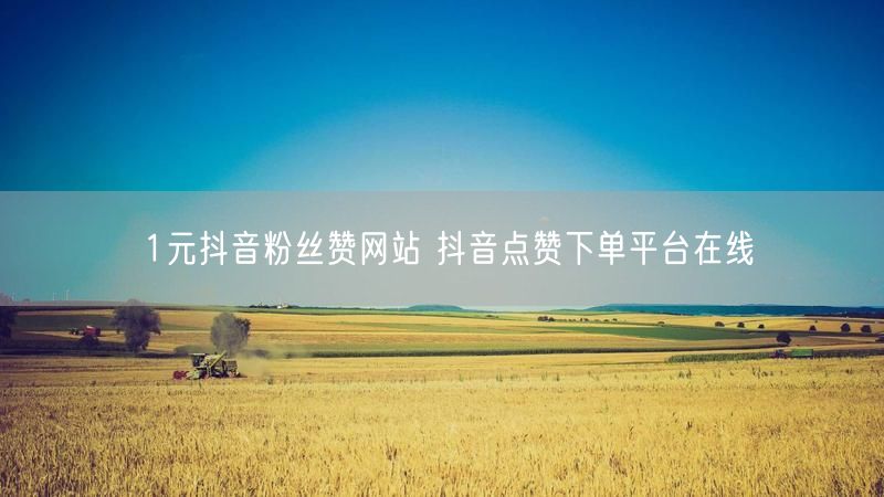 1元抖音粉丝赞网站 抖音点赞下单平台在线
