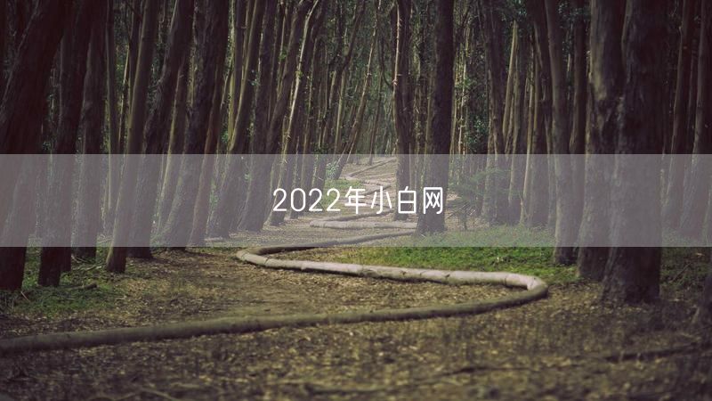 2022年小白网