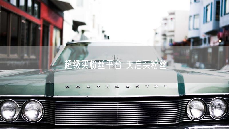 超级买粉丝平台 天启买粉丝