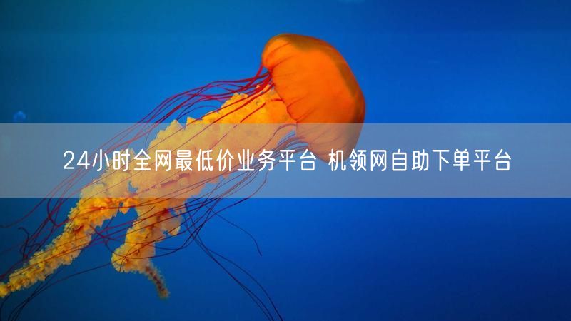 24小时全网最低价业务平台 机领网自助下单平台