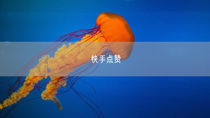 快手点赞