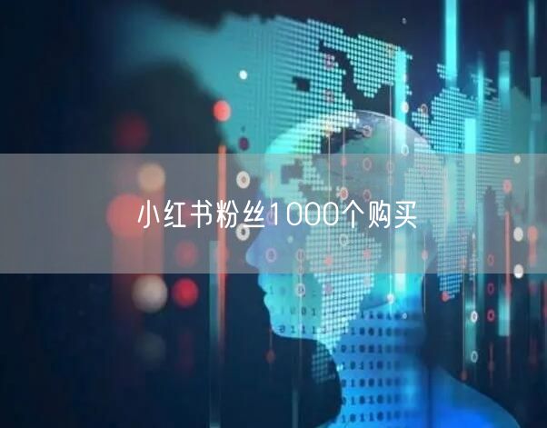 小红书粉丝1000个购买