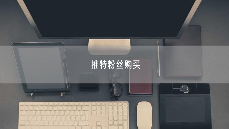 推特粉丝购买