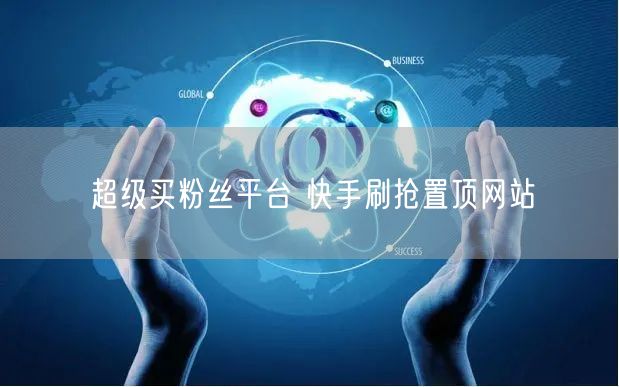 超级买粉丝平台 快手刷抢置顶网站