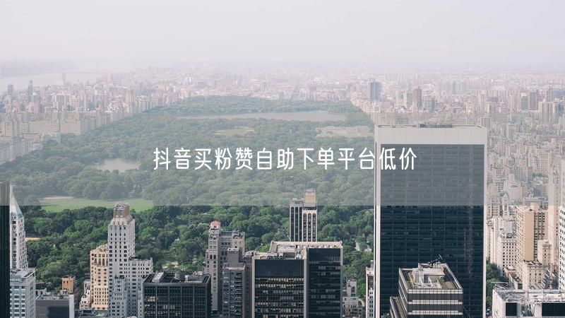抖音买粉赞自助下单平台低价