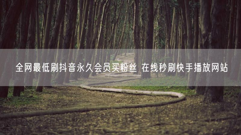 全网最低刷抖音永久会员买粉丝 在线秒刷快手播放网站