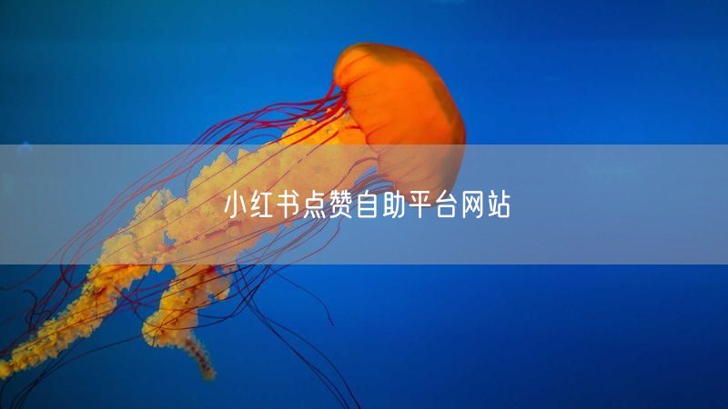 小红书点赞自助平台网站