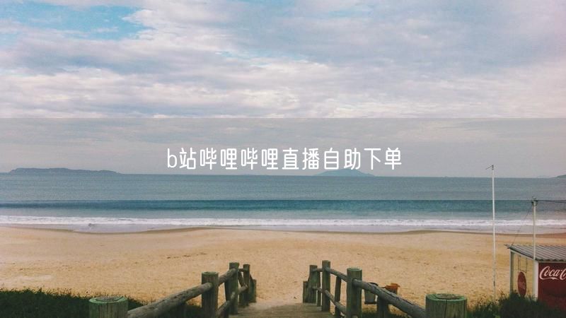 b站哔哩哔哩直播自助下单