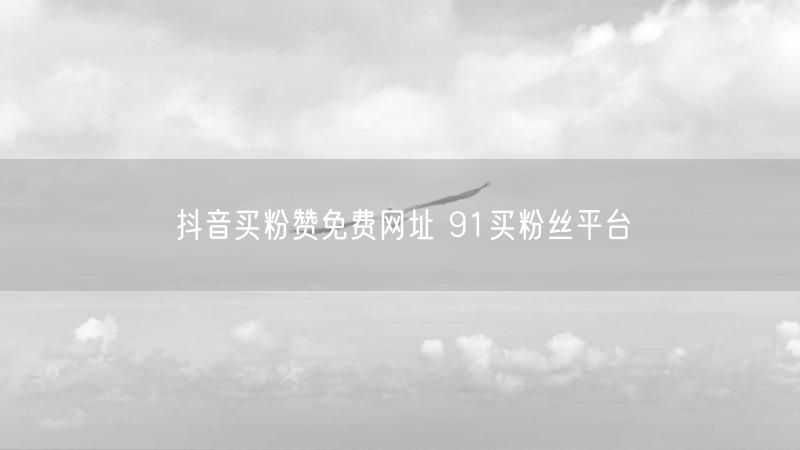 抖音买粉赞免费网址 91买粉丝平台