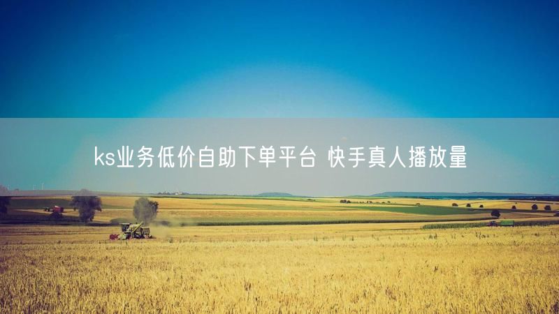 ks业务低价自助下单平台 快手真人播放量