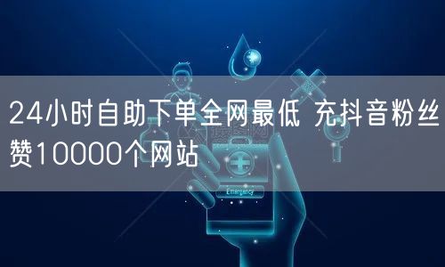 24小时自助下单全网最低 充抖音粉丝赞10000个网站