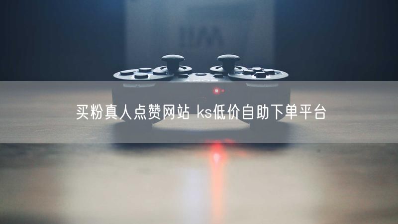 买粉真人点赞网站 ks低价自助下单平台