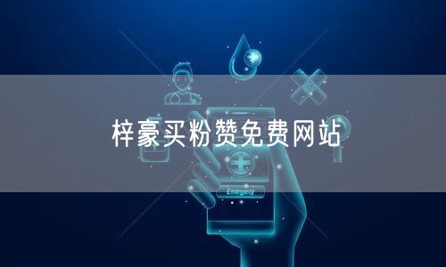 梓豪买粉赞免费网站