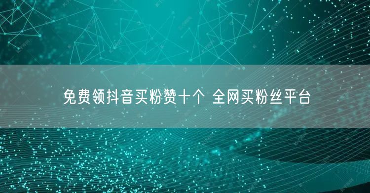 免费领抖音买粉赞十个 全网买粉丝平台
