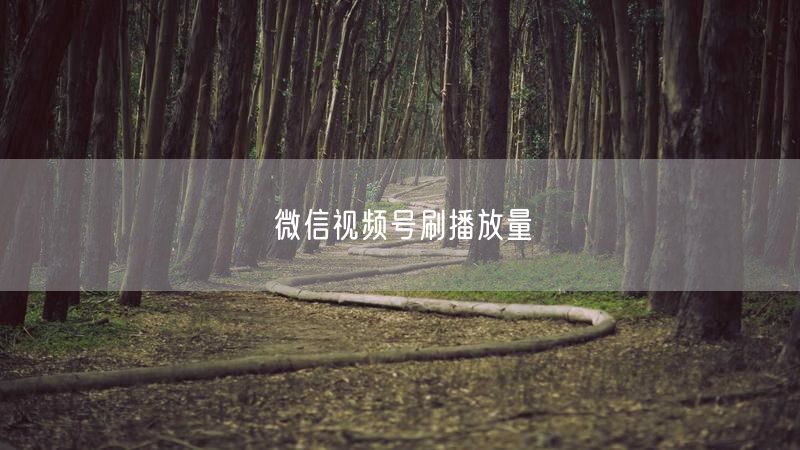 微信视频号刷播放量