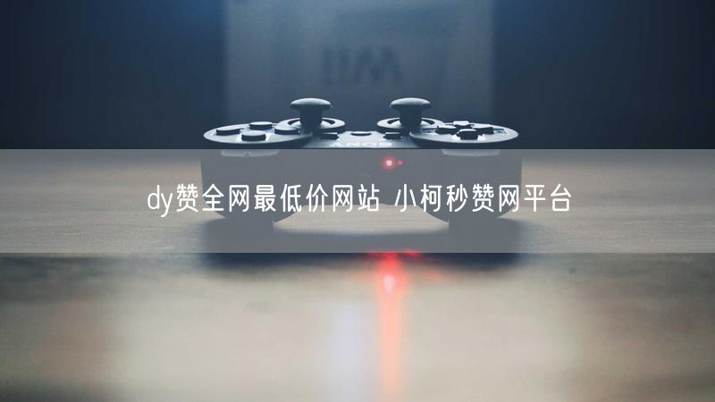 dy赞全网最低价网站 小柯秒赞网平台