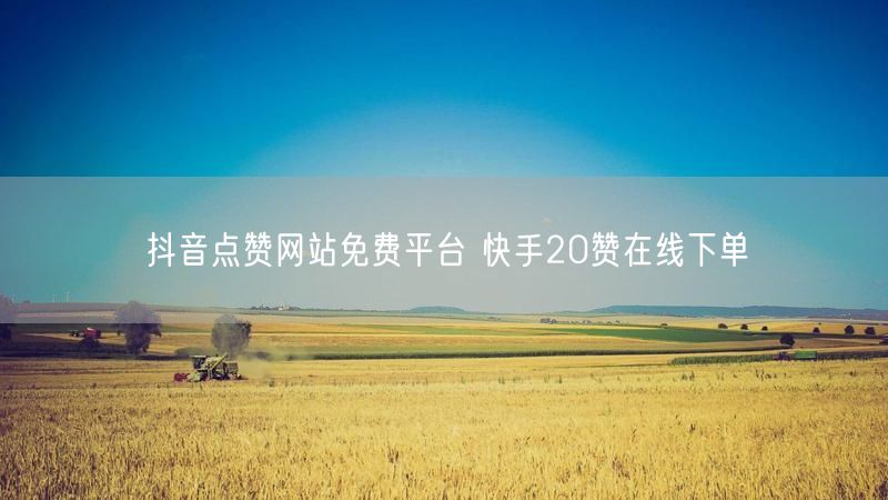 抖音点赞网站免费平台 快手20赞在线下单
