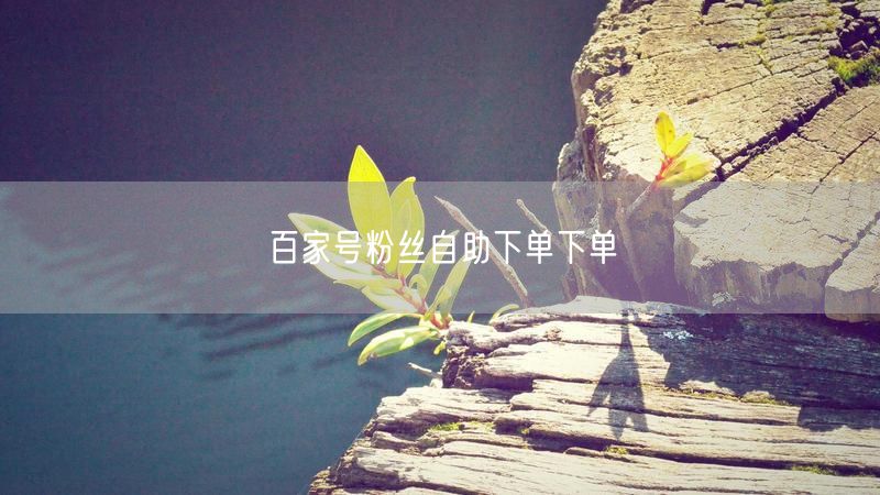 百家号粉丝自助下单下单