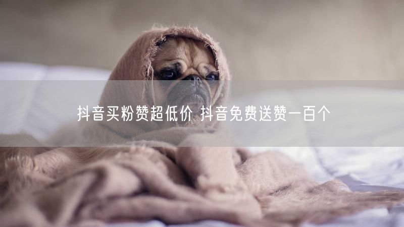 抖音买粉赞超低价 抖音免费送赞一百个