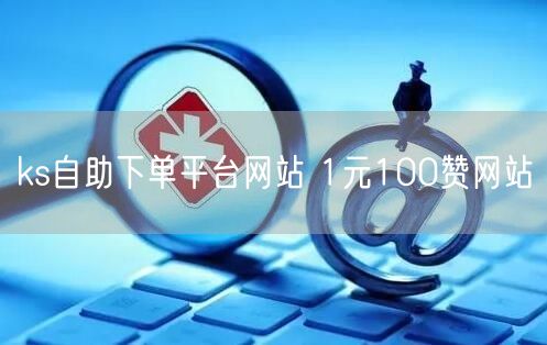 ks自助下单平台网站 1元100赞网站