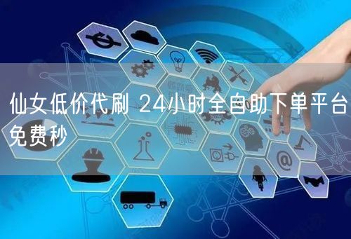 仙女低价代刷 24小时全自助下单平台免费秒