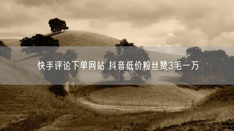 快手评论下单网站 抖音低价粉丝赞3毛一万