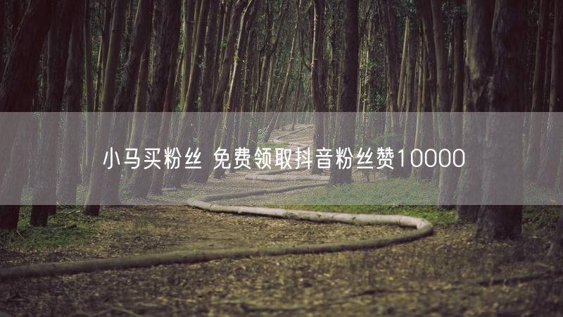 小马买粉丝 免费领取抖音粉丝赞10000
