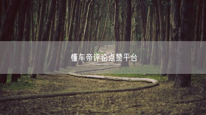 懂车帝评论点赞平台