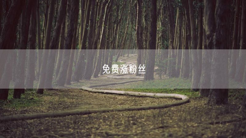 免费涨粉丝