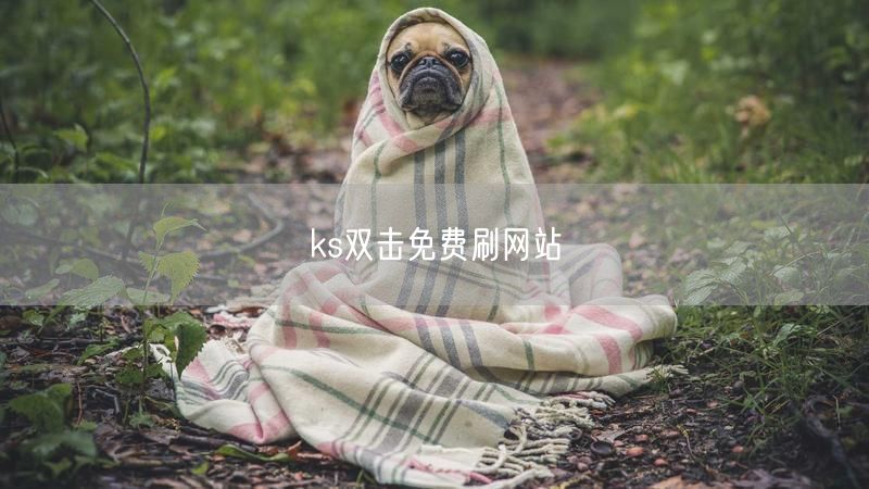 ks双击免费刷网站