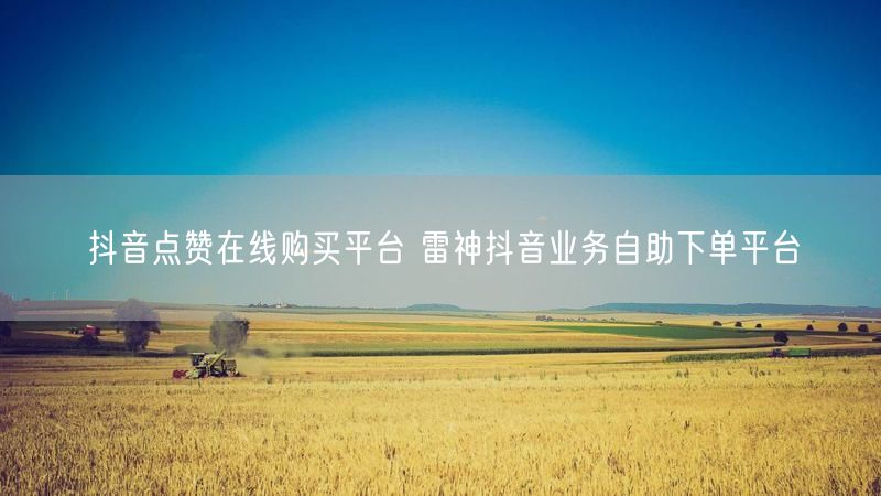 抖音点赞在线购买平台 雷神抖音业务自助下单平台