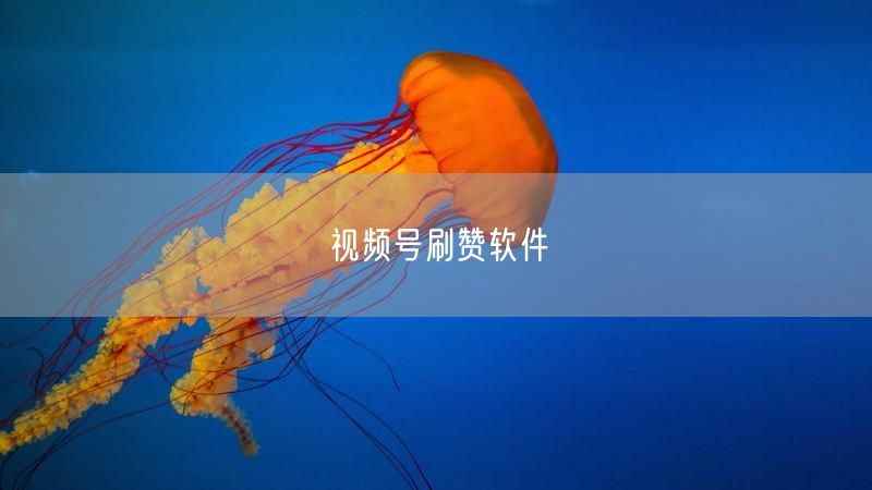 视频号刷赞软件